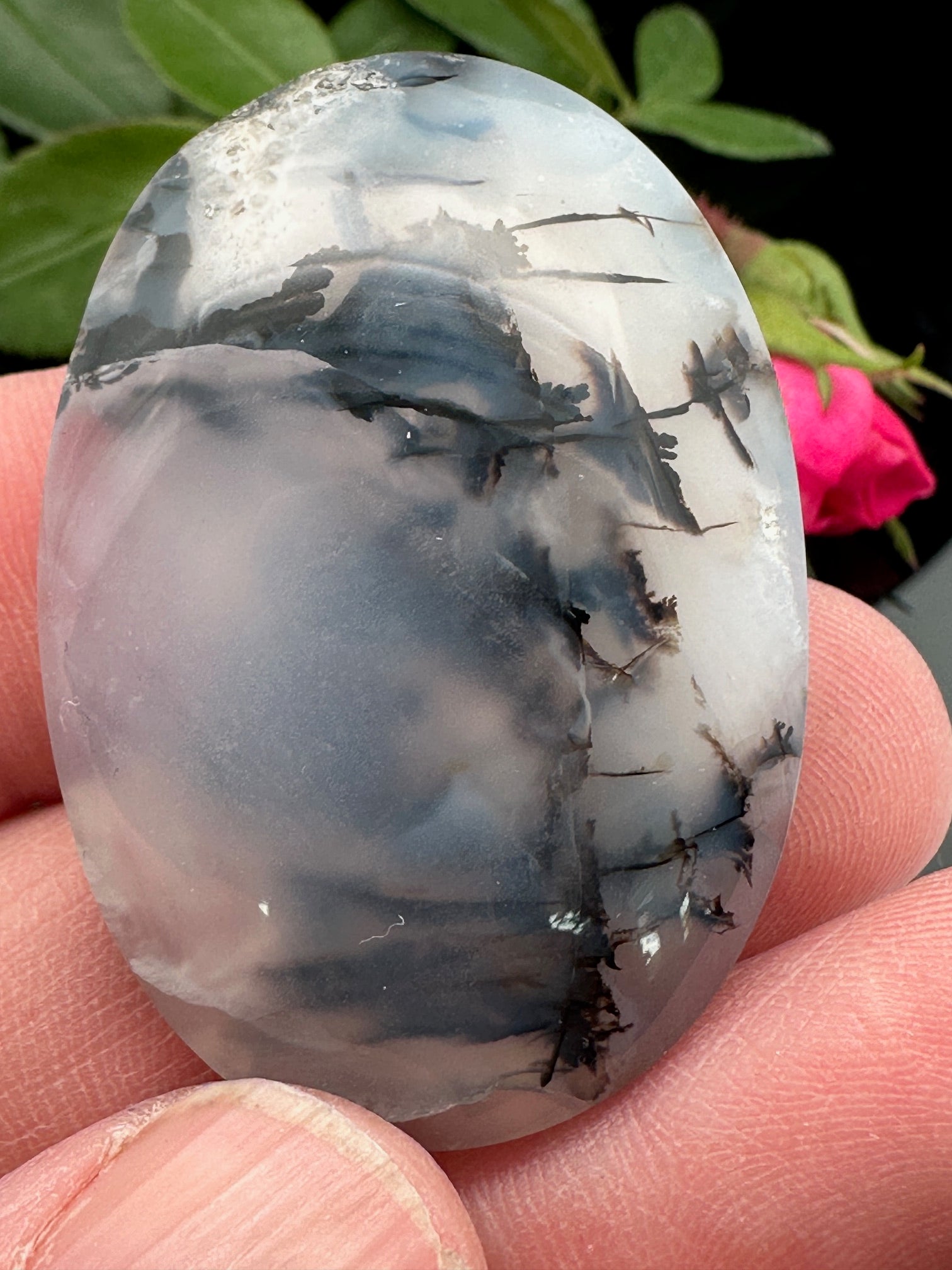 Dendritic orders agate cabochon