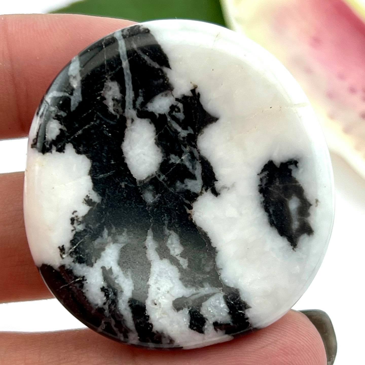 Zebra Stone - Large Worrystone – CrystalBarista