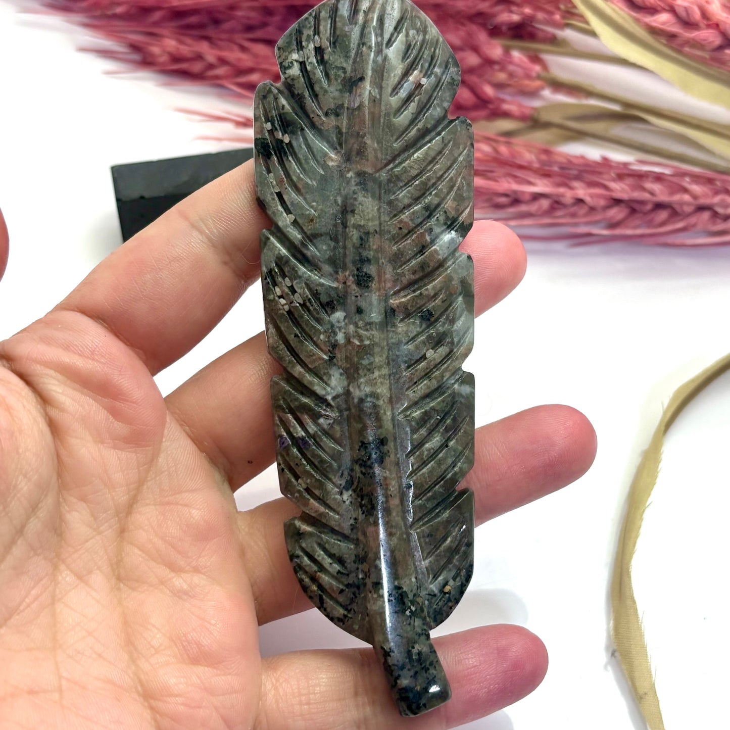 Sodalite Syenite - Feather Carving