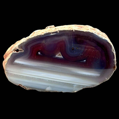 Queensland Agate - Polished End