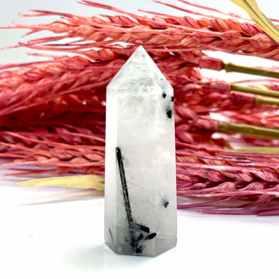 Tourmaline in Quartz - Tower