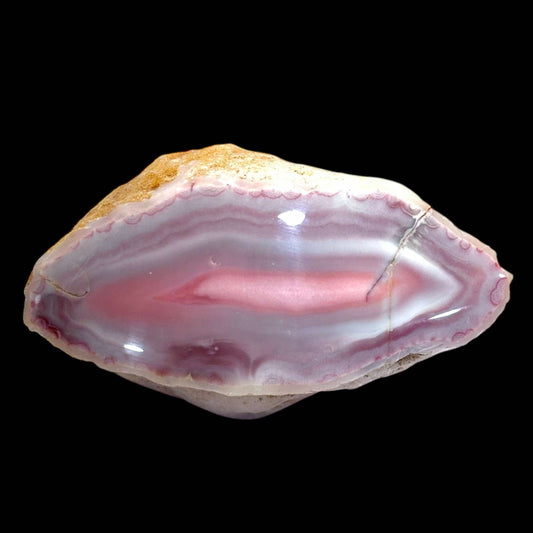 Queensland Agate - Polished End