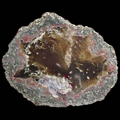 Thunder Egg - Agate Nodule Geode