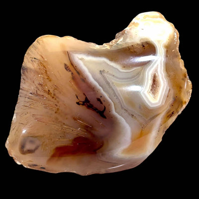 Queensland Agate - Polished End