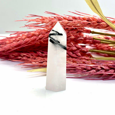 Tourmaline in Quartz - Tower