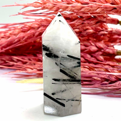 Tourmaline in Quartz - Tower