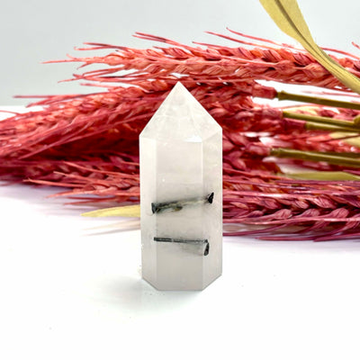 Tourmaline in Quartz - Tower