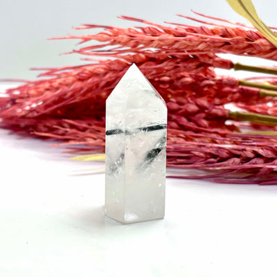 Tourmaline in Quartz - Tower