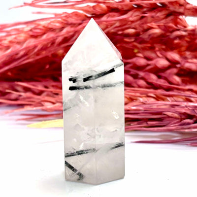 Tourmaline in Quartz - Tower