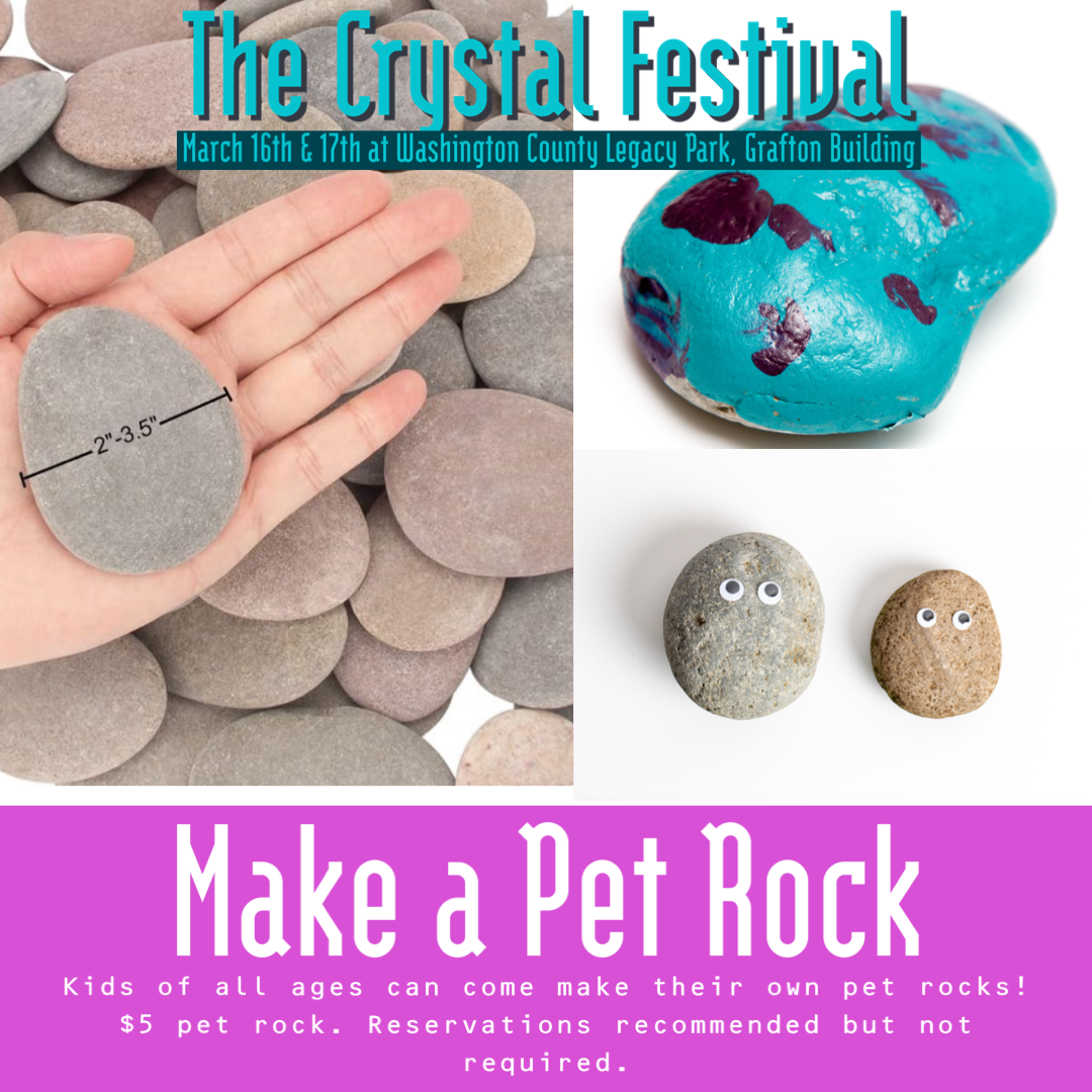 Make a Pet Rock