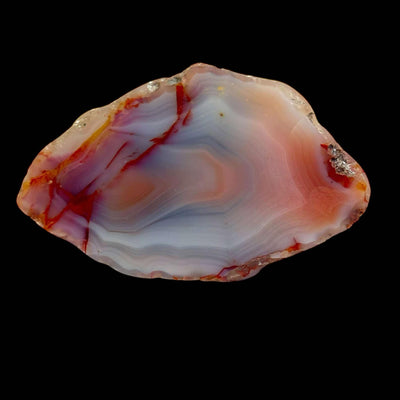 Queensland Agate - Polished End