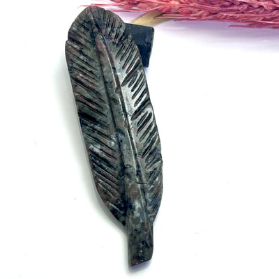 Sodalite Syenite - Feather Carving