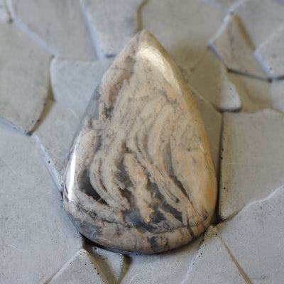 Silver Lace Agate - Cabochon