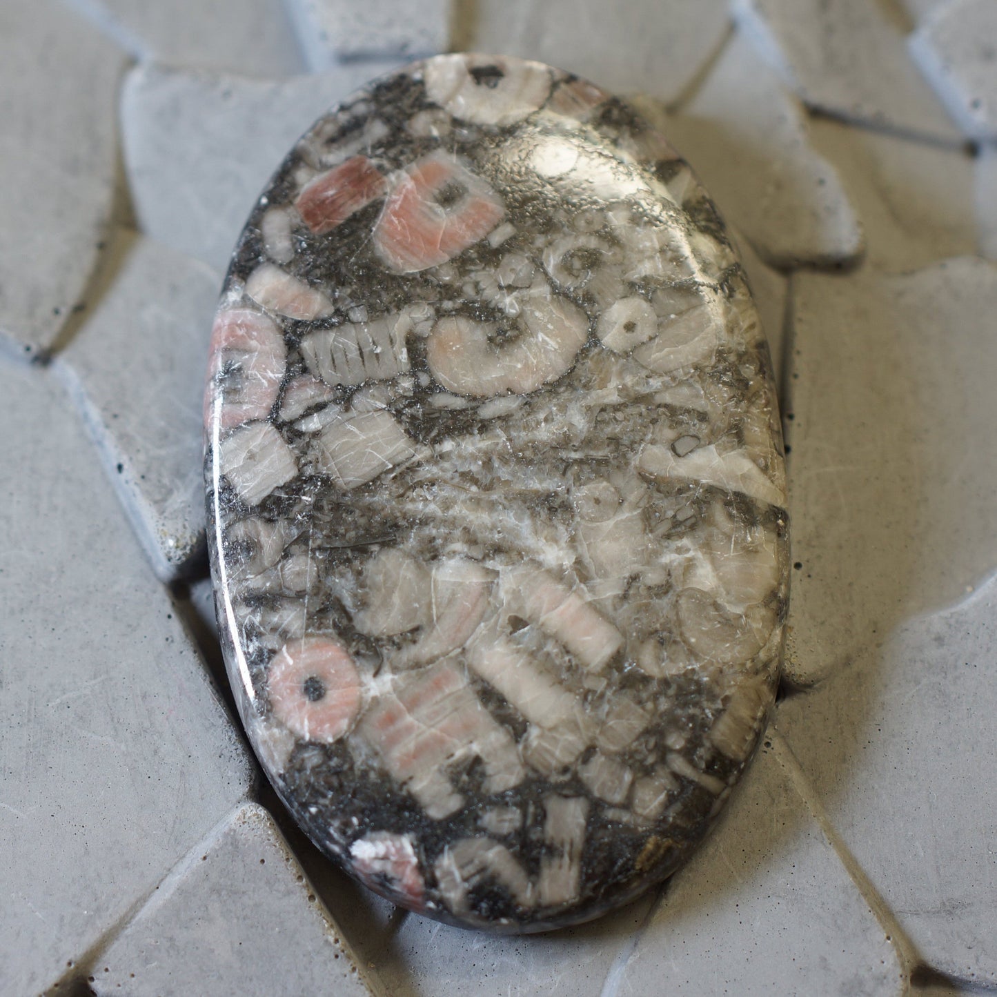 Fossil Jasper - Cabochon