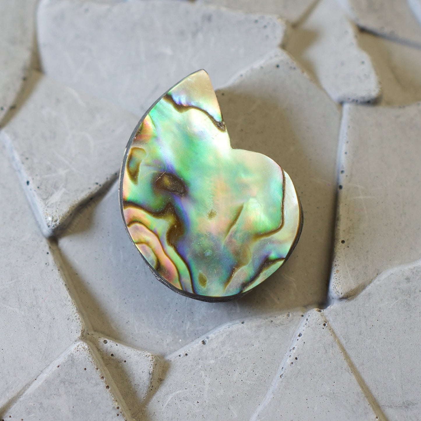 Abalone - Cabochon