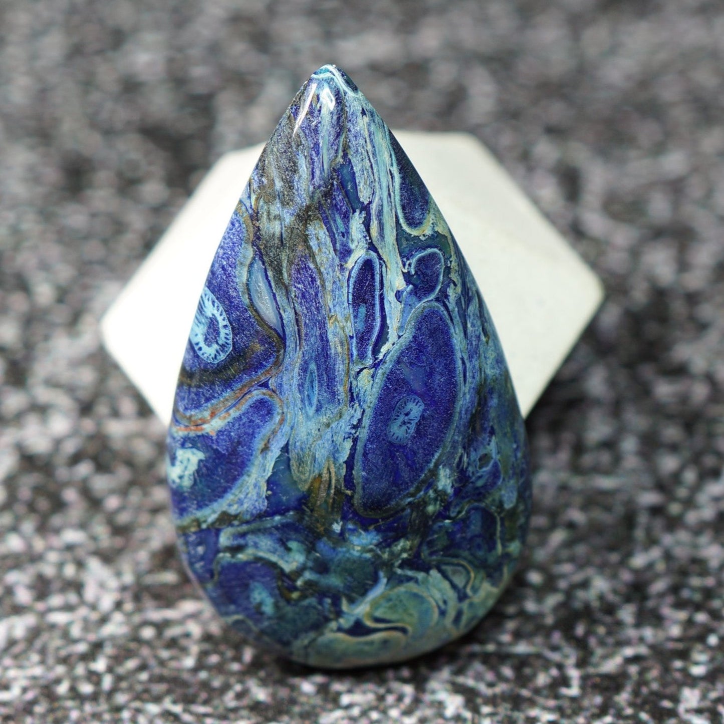 Blue Fossil Coral - Cabochon