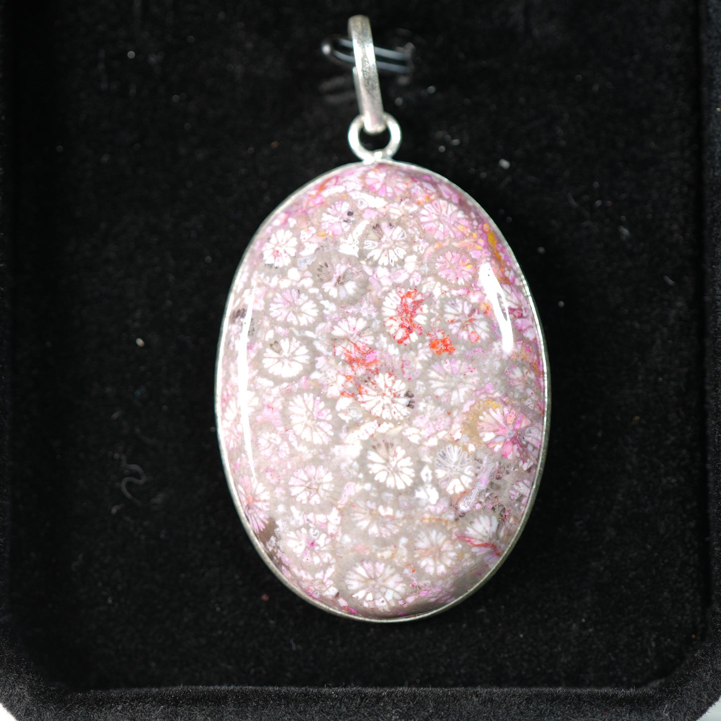 Pink Fossil Coral - Pendant