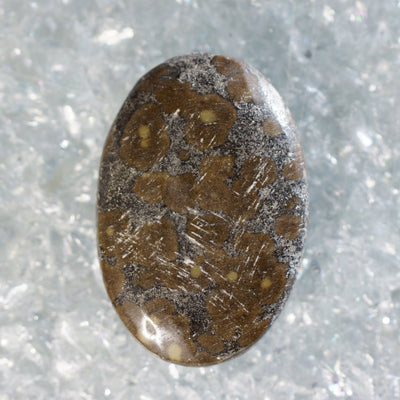 Orbicular Jasper - Drilled Cabochon