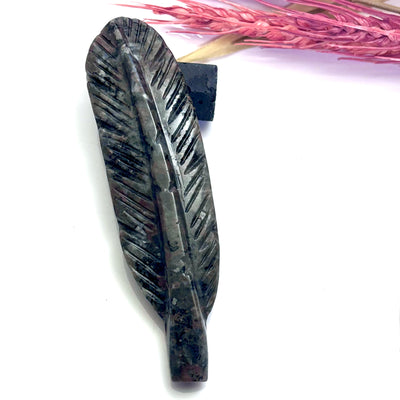 Sodalite Syenite - Feather Carving