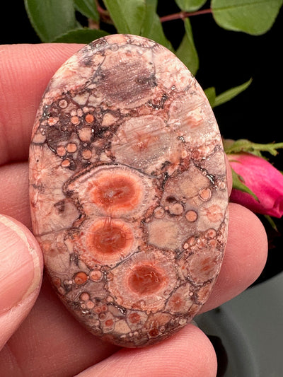 Bird's Eye Rhyolite Cabochon