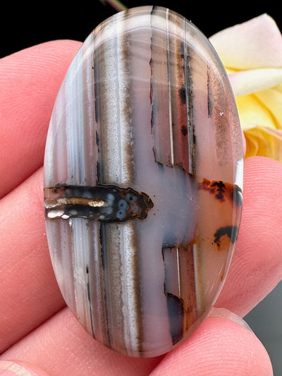 Montana Moss Agate Cabochon