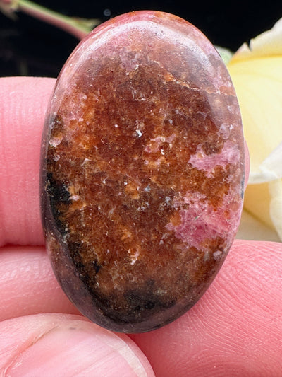 Rhodonite - Cabochon