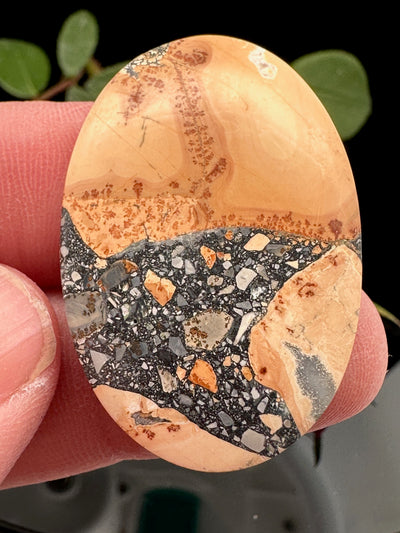 Maligano Jasper Cabochon