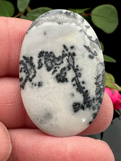 Maligano Jasper Cabochon