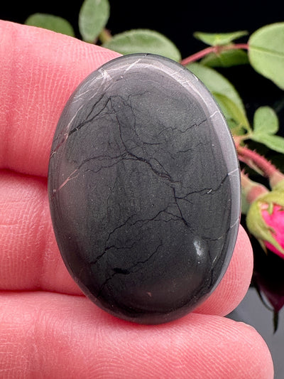 Shungite Cabochon