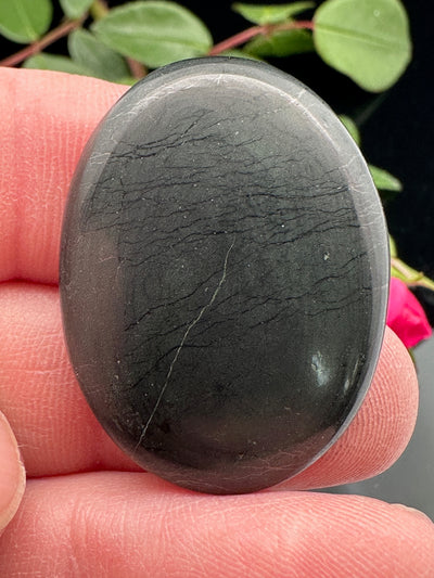 Shungite Cabochon