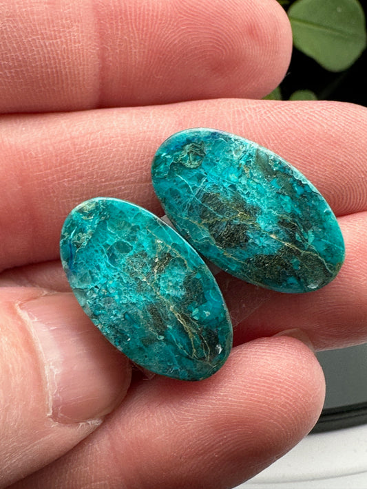 Shattuckite Set Cabochons