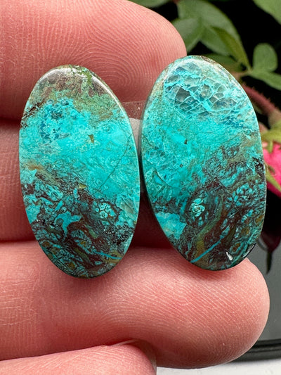 Shattuckite Pair Cabochons