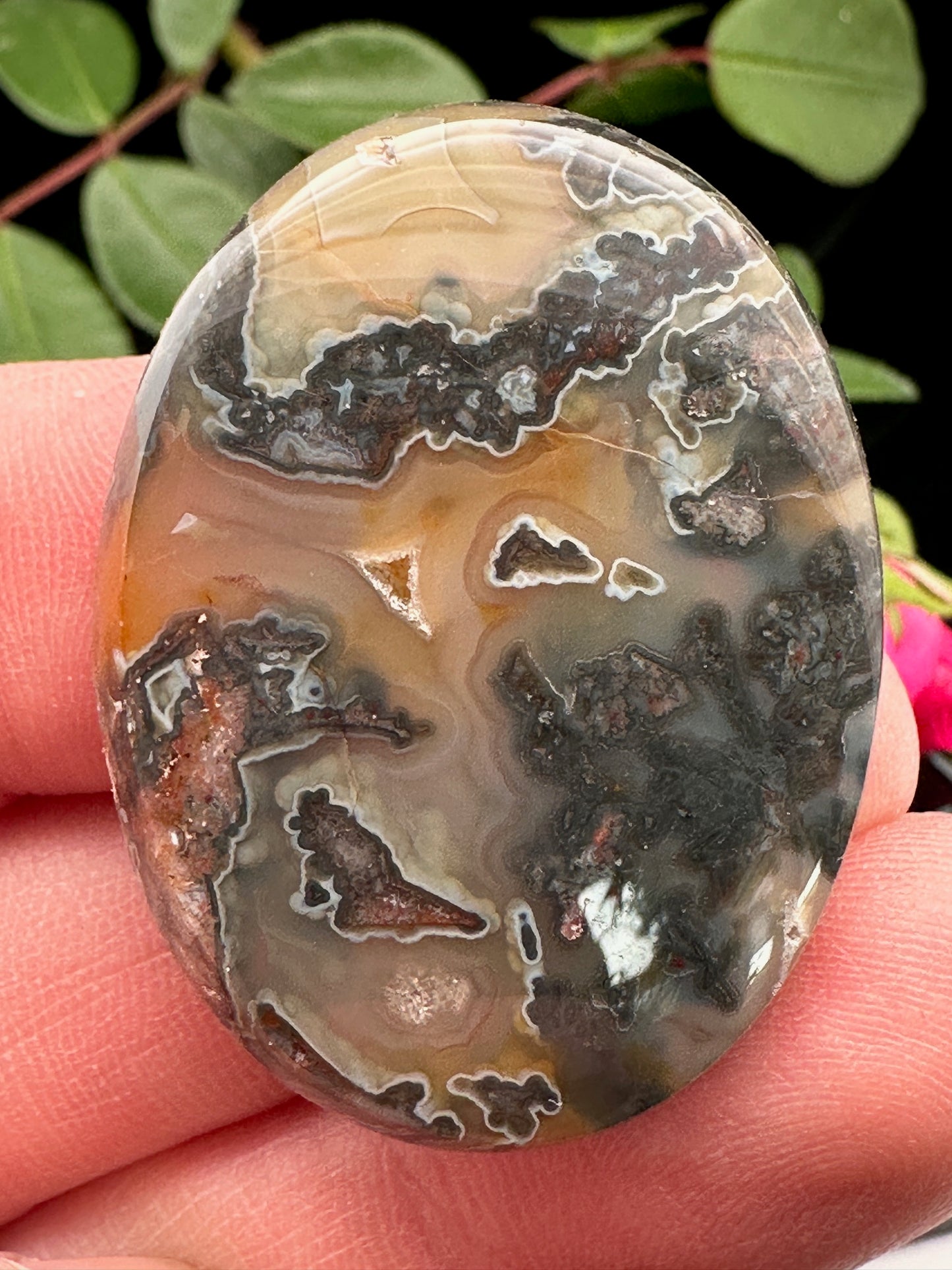 Agate - Cabochon