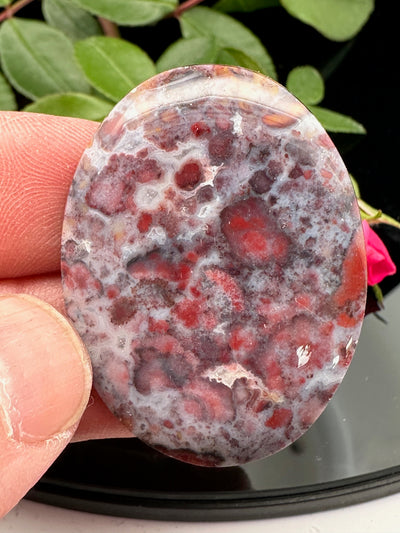 Red & White Cabochon