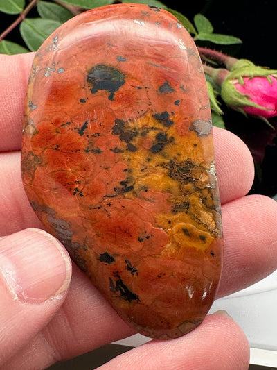 Tiger Tail Jasper