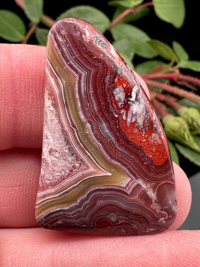 Crazy Lace Agate Cabochon