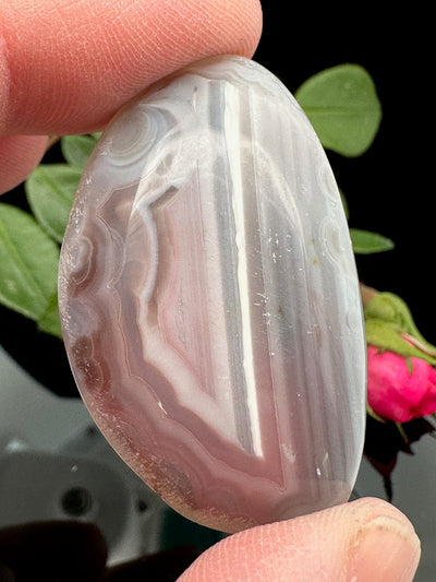 Laguna Agate