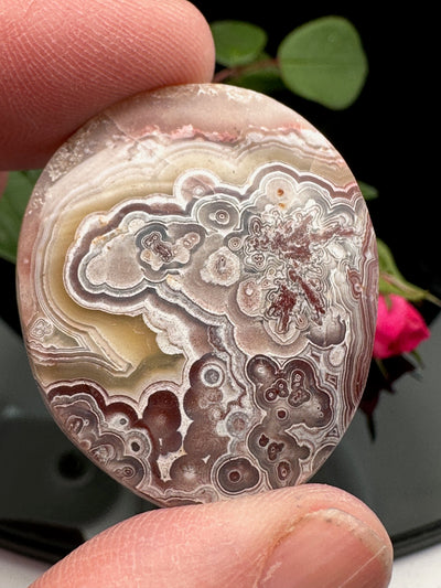 Crazy Lace Agate Cabochon