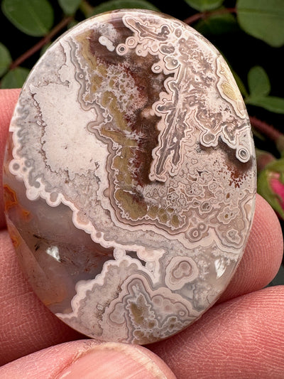 Crazy Lace Agate Cabochon