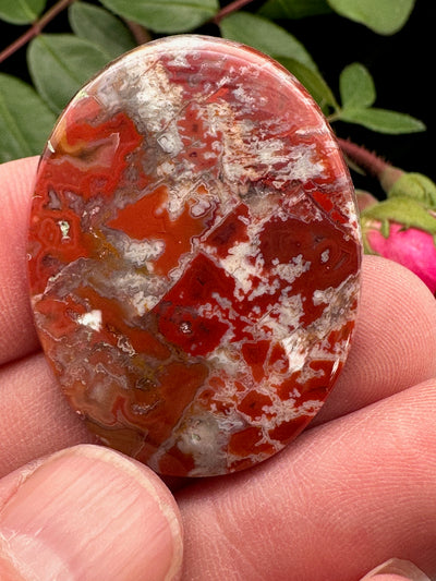 Red Spotted Agate Cabochon