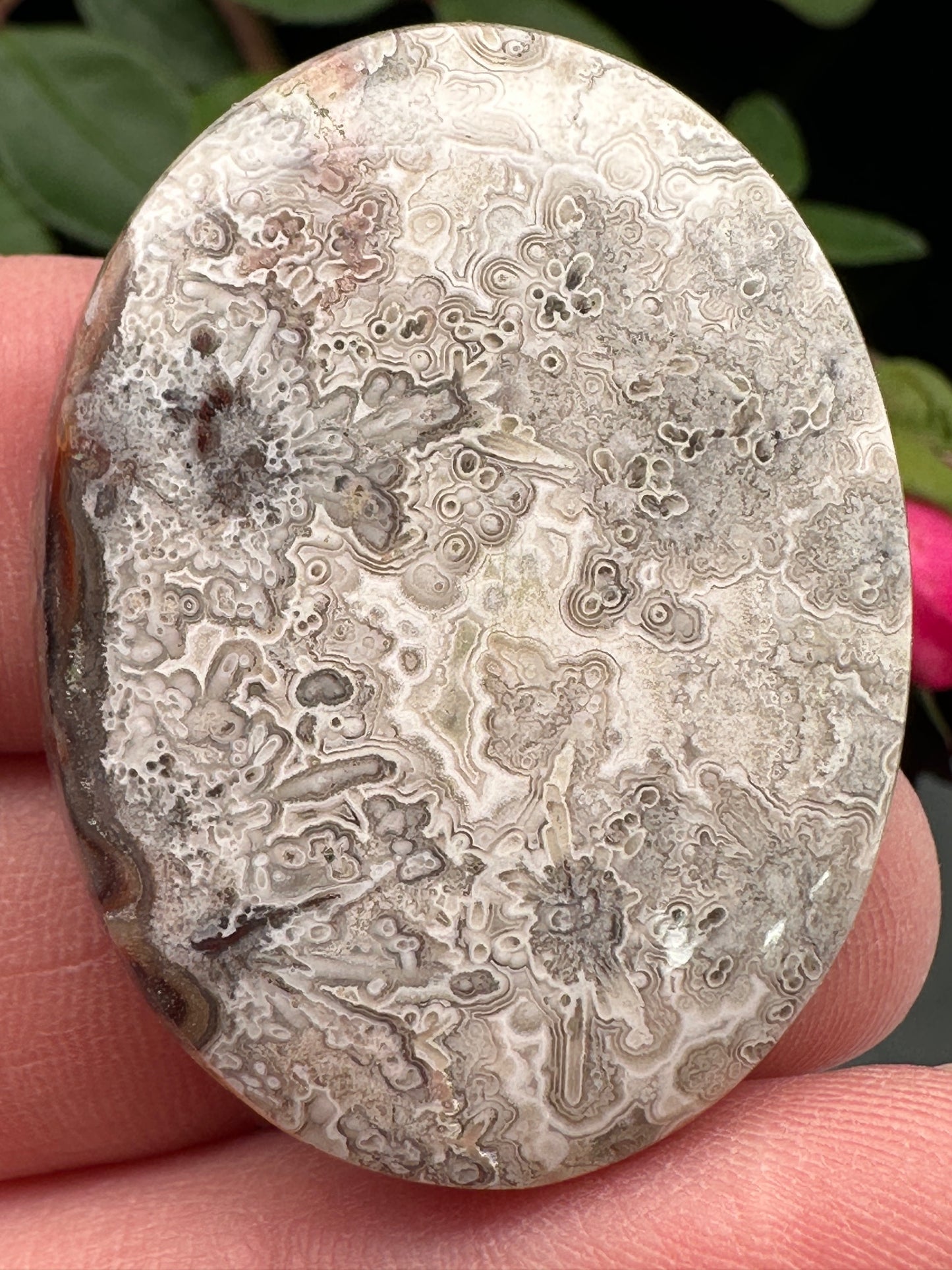 White Crazy Lace Agate Cabochon