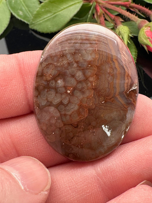 Natural Dragon Scale Cabochon