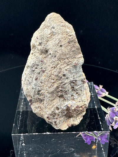 Garnet Schist