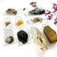 Education Fossil Kit - School & Homeschool Geology Series