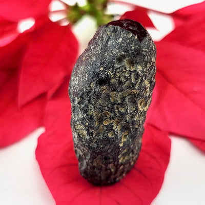 Tektite from: China - Mineral