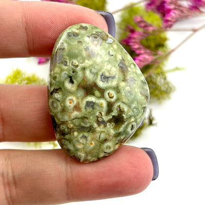 Lily Pad Jasper - Cabochon