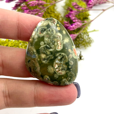 Lily Pad Jasper - Cabochon