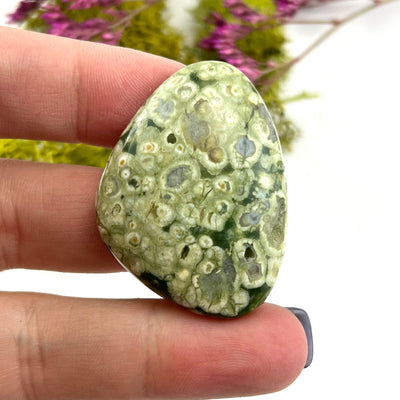 Lily Pad Jasper - Cabochon