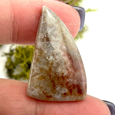 Crazy Lace Agate - Cabochon