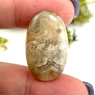 Crazy Lace Agate - Cabochon